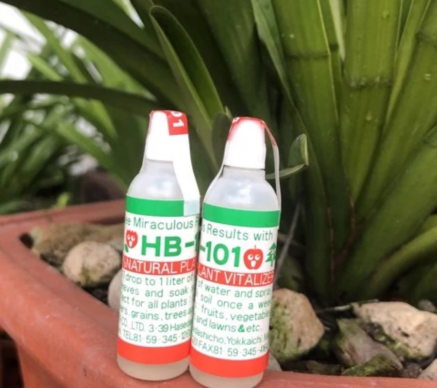 Chất tăng cường sinh trưởng thực vật HB-101 dùng cho cây cảnh bonsai - Chai 6ml