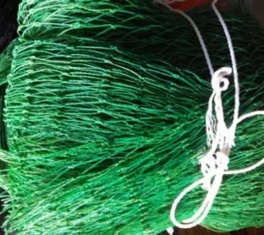 Lưới làm giàn leo màu xanh mắt 10x10cm (Nhập khẩu Đài Loan) - 180x180cm