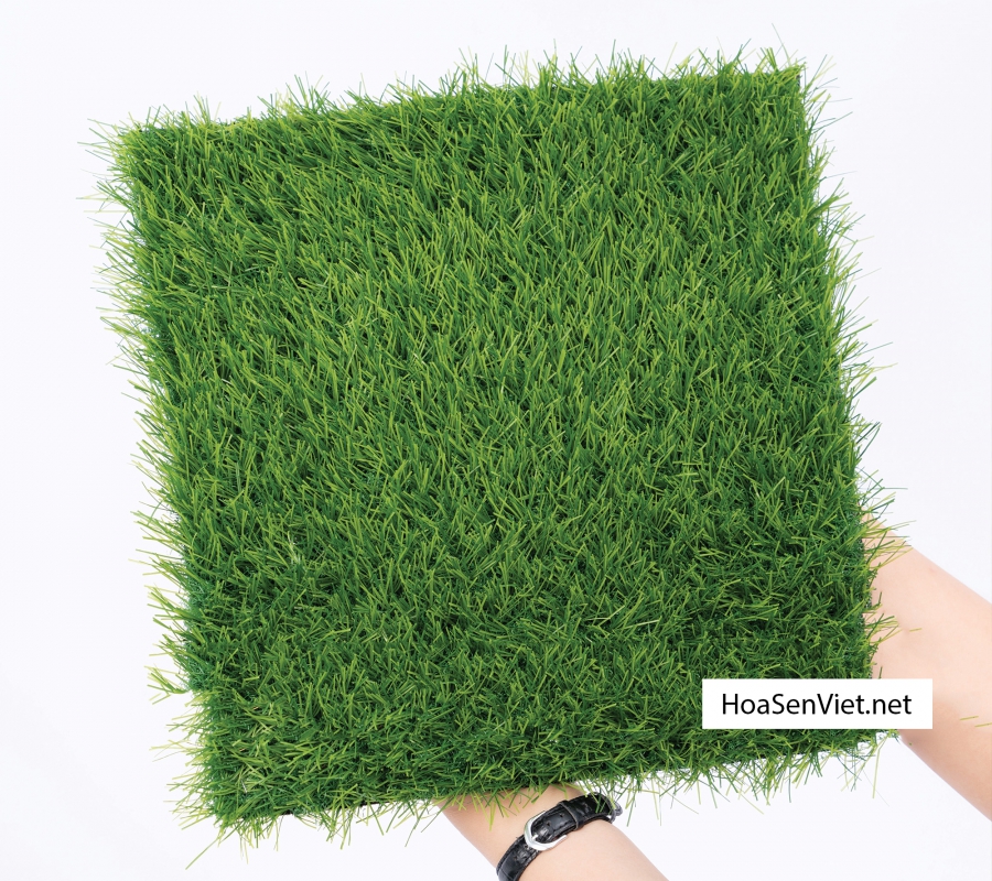 Thảm cỏ nhân tạo sân vườn H20C