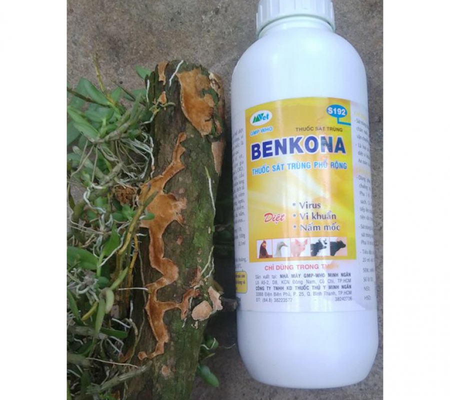 Thuốc sát khuẩn và khử trùng cho cây trồng và chuồng trại Benkona - 100ml