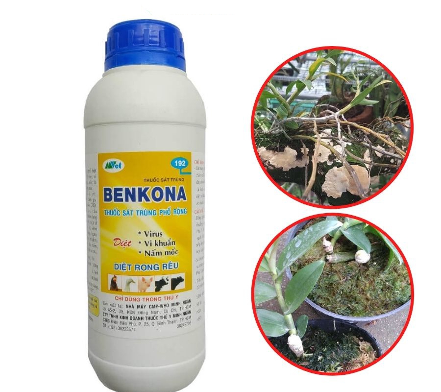 Thuốc sát khuẩn và khử trùng cho cây trồng và chuồng trại Benkona - 1 lít