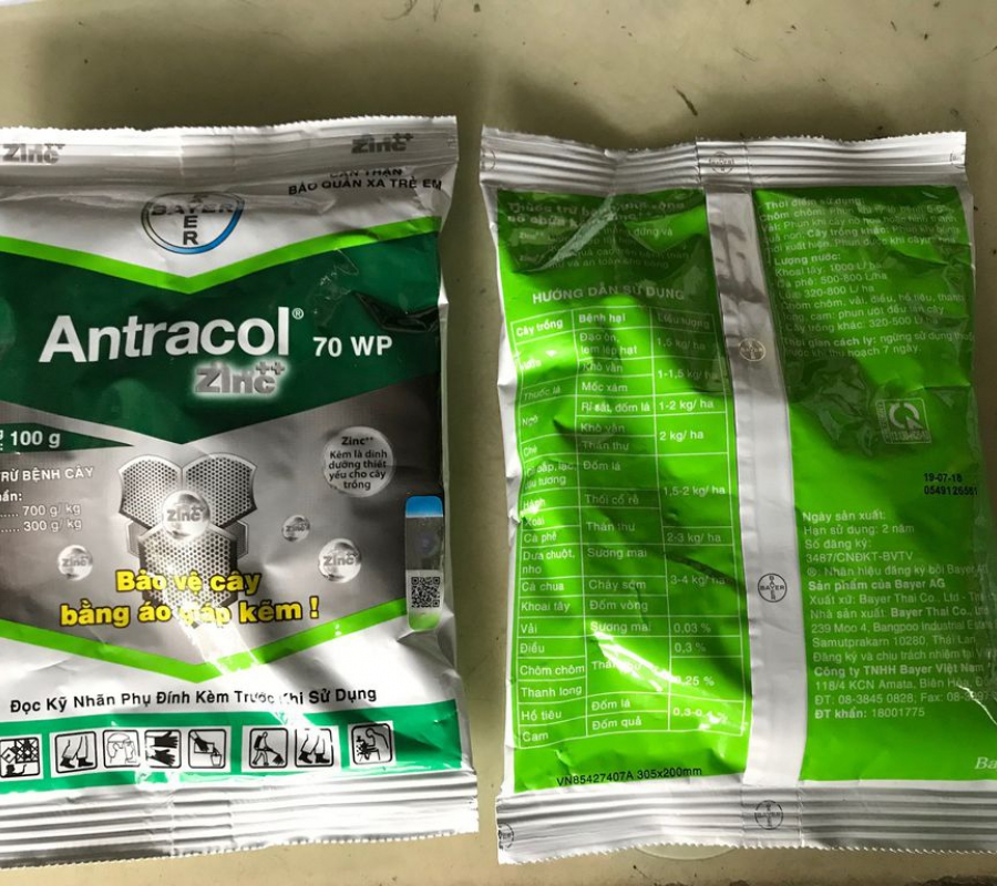 Thuốc trừ nấm bệnh cây trồng Antracol 70WP - Gói 100g