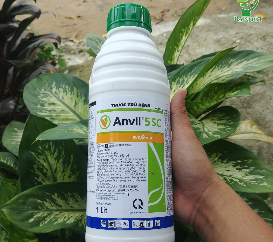 Thuốc trừ bệnh cho cây trồng Anvil 5SC - Chai 1 lít
