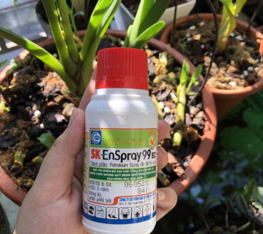 Dầu khoáng diệt côn trùng gây hại SK Enspray 99 EC - Chai 100ml