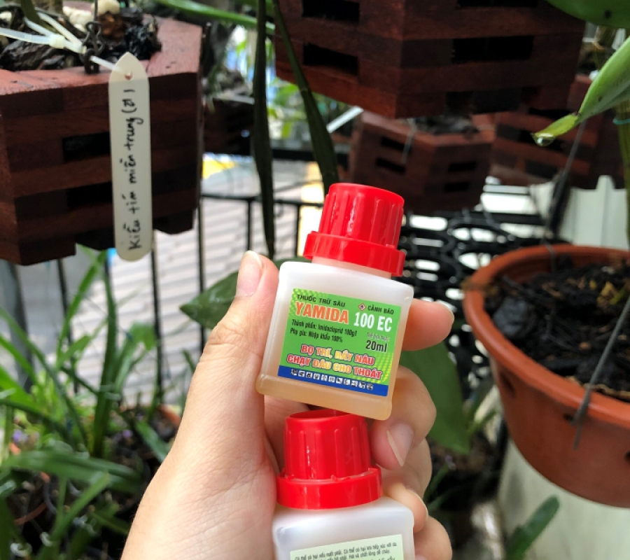 Thuốc trừ bọ trĩ - rầy trên cây trồng và hoa kiểng Yamida 100EC