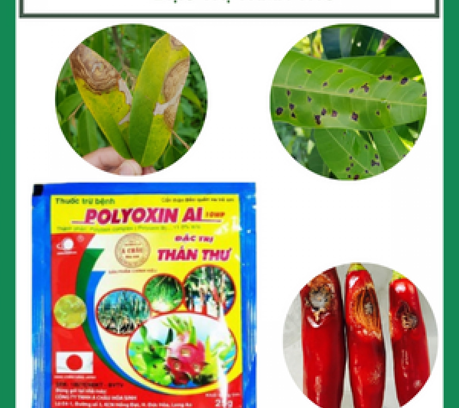 Polyoxin AL 10WP trừ bệnh cây trồng - Gói 25gram
