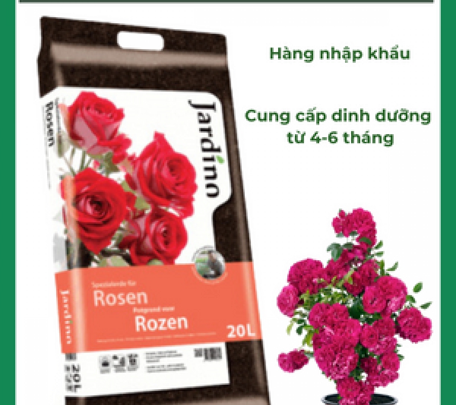 Đất trồng hoa hồng ngoại cao cấp Jardino Rozen