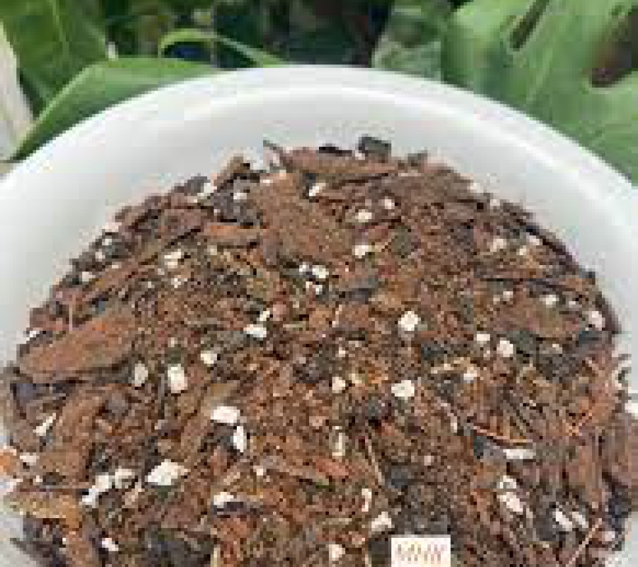 Giá thể trồng kiểng lá - sen đá - xương rồng NewZita Soil New Mix - 5dm3