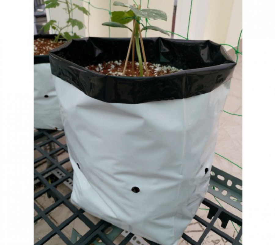 Túi nylon trồng cây đục lỗ 1kg - 20x40cm