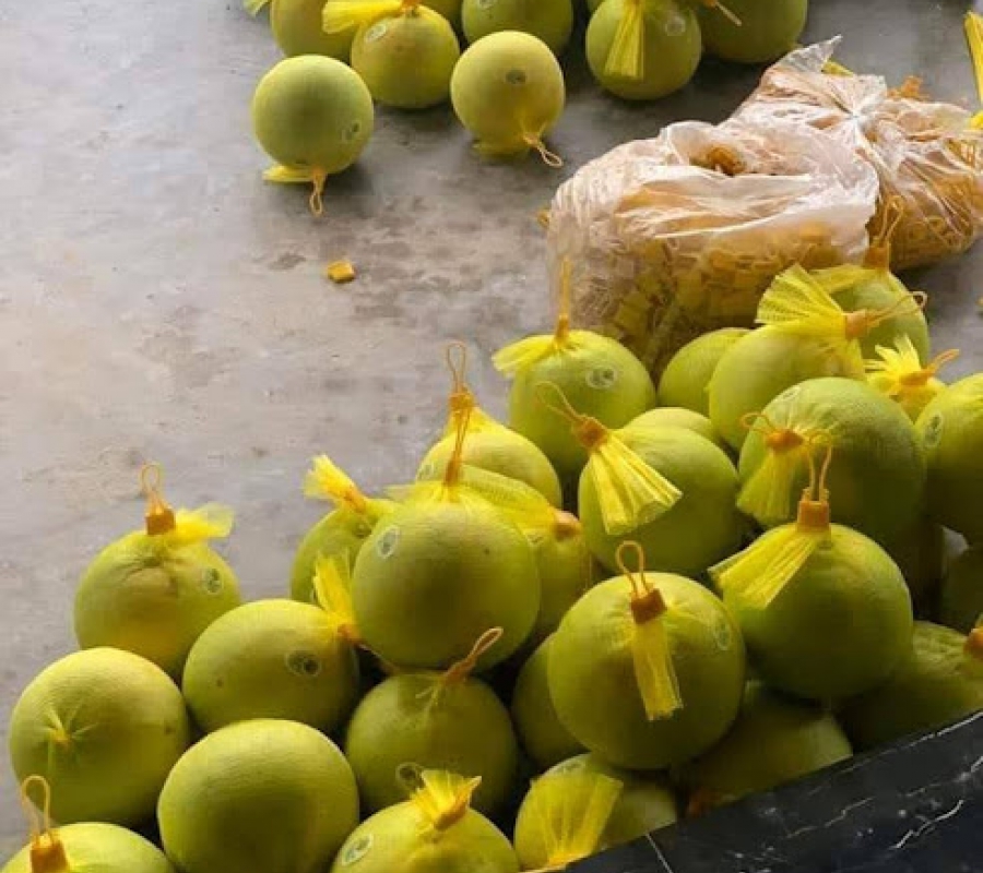Túi lưới đựng trái cây và hoa L200 1kg - Màu vàng