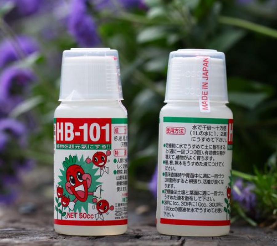 Chất tăng cường sinh trưởng thực vật HB-101 dùng cho cây cảnh bonsai - Chai 50ml