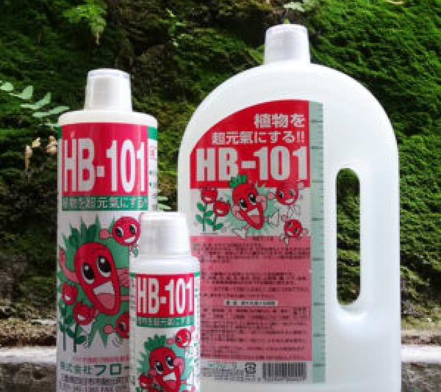 Chất tăng cường sinh trưởng thực vật HB-101 dùng cho cây cảnh bonsai - Chai 1 lít