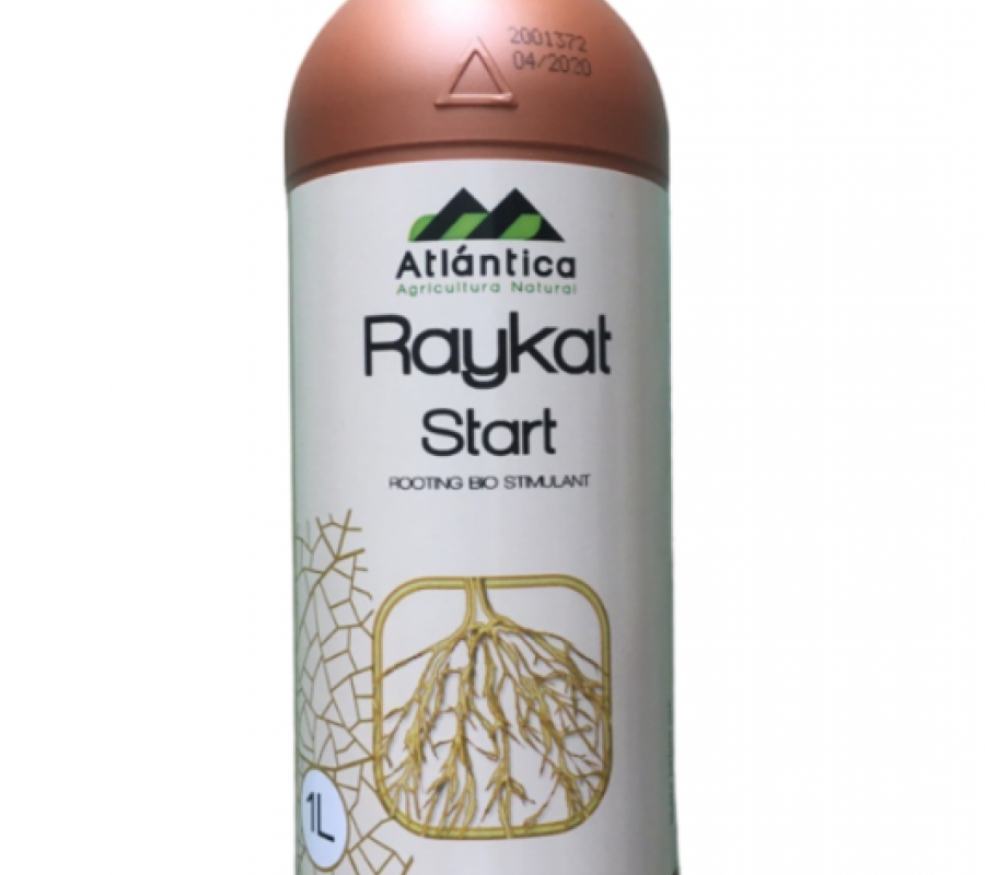 Phân bón siêu ra rễ Raykat Start - 1 lít