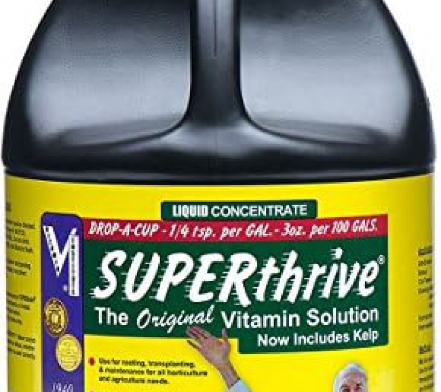 Thuốc kích thích tăng trưởng Superthrive - 3.8 lít
