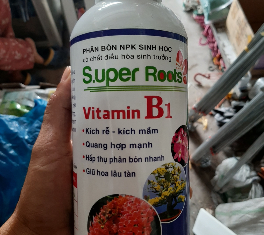 Chế phẩm Vitamin B1 Super Roots - kích rễ bật mầm - Chai 1 lít