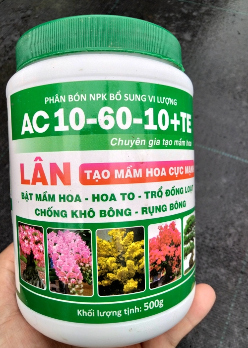 Phân bón lá AC 10-60-10 + TE chuyên gia tạo mầm hoa - 500g