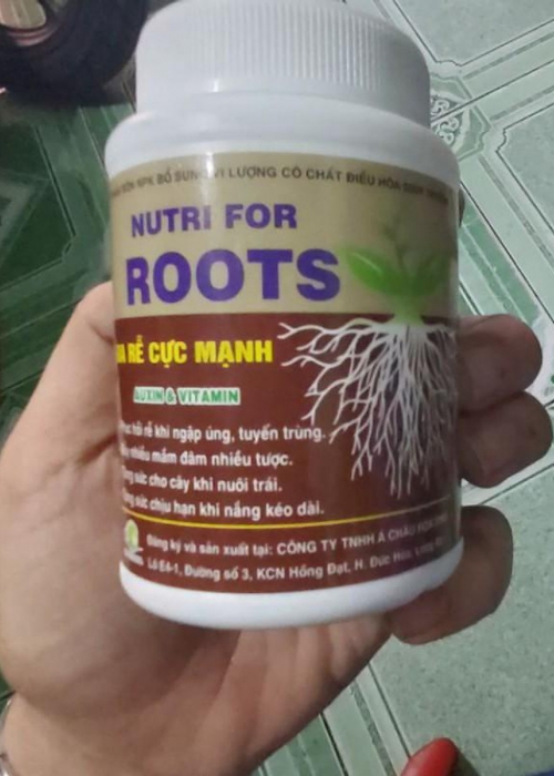 Phân bón Nutri For Roots kích thích ra rễ - 100g