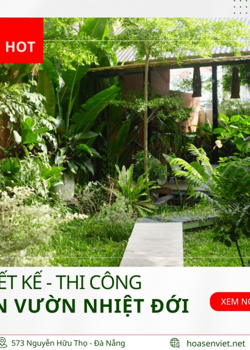 Thiết Kế & Thi Công Sân Vườn Nhiệt Đới Trọn Gói