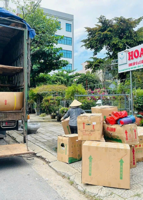 Shop Cây Văn Phòng Đà Nẵng | Hoa Sen Việt - Cung Cấp & Cho Thuê Cây Xanh Nội Thất