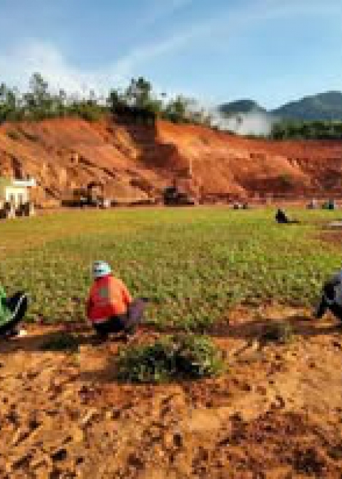 Cách gieo hạt giống đúng kỹ thuật – Tỷ lệ nảy mầm cao, cây khỏe mạnh