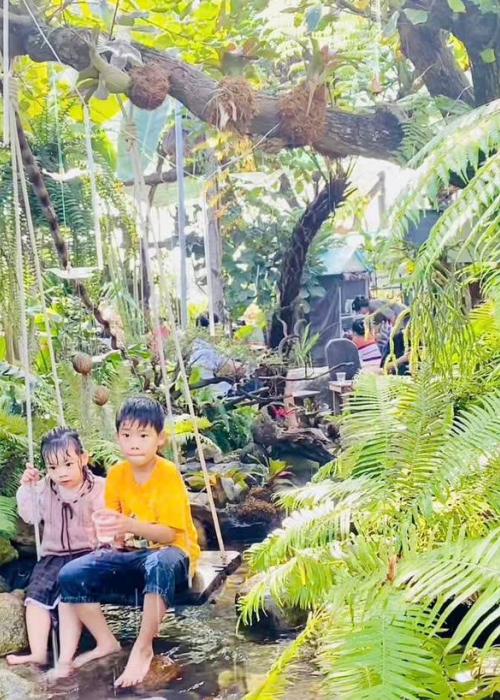 Quy Trình Thi Công Hồ Cá Koi Đạt Chuẩn Tại Đà Nẵng | Hoa Sen Việt