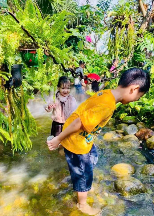  Quy Trình Thi Công Hồ Cá Koi Đạt Chuẩn Tại Đà Nẵng | Hoa Sen Việt