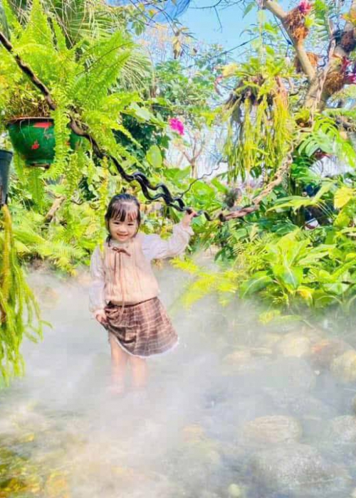  Quy Trình Thi Công Hồ Cá Koi Đạt Chuẩn Tại Đà Nẵng | Hoa Sen Việt