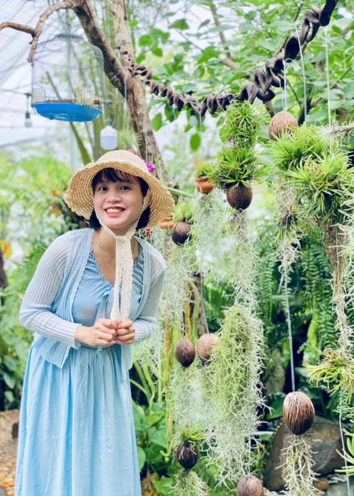 Chi Phí Thi Công Hồ Cá Koi Tại Đà Nẵng Bao Nhiêu?