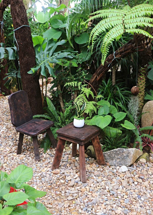 Mua Bán Cá Koi Tại Đà Nẵng – Địa Chỉ Uy Tín, Chất Lượng, Giá Tốt