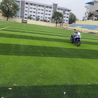 Quy trình thi công cỏ nhân tạo sân bóng đẹp