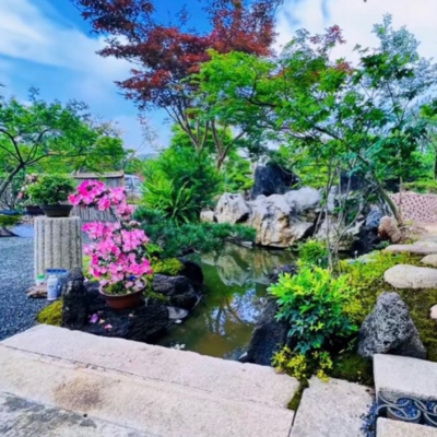 Thiết kế, thi công  sân vườn đẹp Đà Nẵng số #1