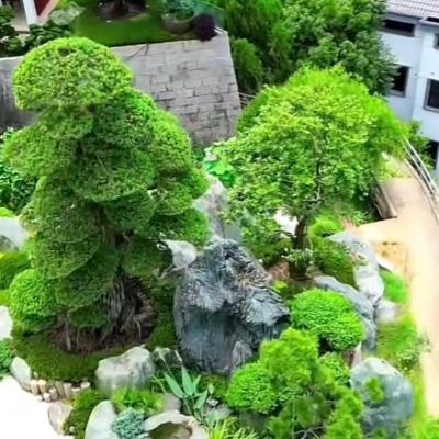 Thiết kế, thi công  sân vườn đẹp Đà Nẵng số #1