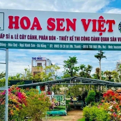 Thi công sân vườn tại quận Liên Chiểu Đà Nẵng