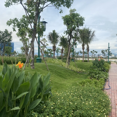 Thi công sân sân vườn chuyên nghiệp tại Đà Nẵng