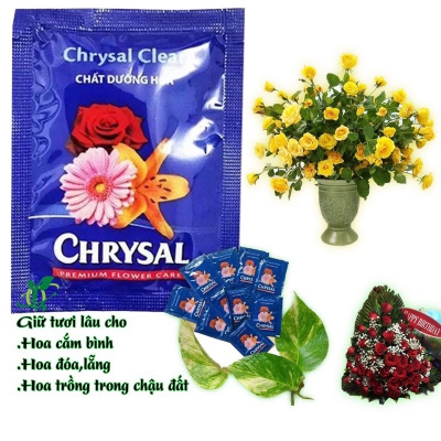 Chất dưỡng hoa lâu tàn Chrysal