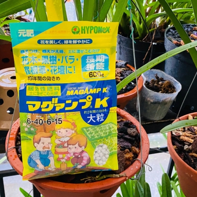 Phân tan chậm Nhật Bản Magamp Hyponex 6-40-6-15 chuyên cho hoa lan