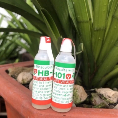Chất tăng cường sinh trưởng thực vật HB-101 dùng cho cây cảnh bonsai - Chai 6ml