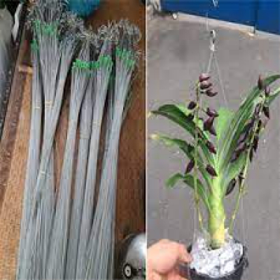 Móc treo chậu hoa - chậu trồng lan bằng kẽm - 110cm