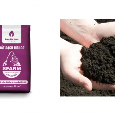 Đất sạch hữu cơ Sfarm chuyên dùng cho cây ăn quả - 20dm3