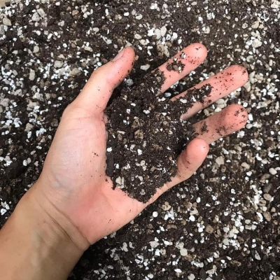 Giá thể Soil mix trồng cây xương rồng, sen đá trộn sẵn - 15dm3