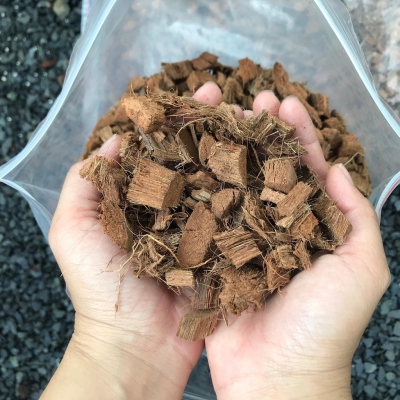 Giá thể trồng lan Vỏ dừa cắt miếng 2cm - 3cm đã qua xử lý - Túi 5dm