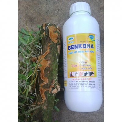 Thuốc sát khuẩn và khử trùng cho cây trồng và chuồng trại Benkona - 100ml