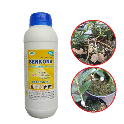 Thuốc sát khuẩn và khử trùng cho cây trồng và chuồng trại Benkona - 1 lít