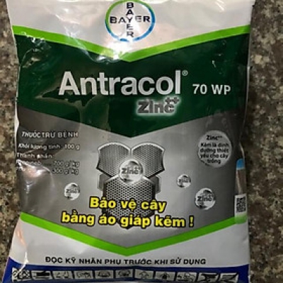 Thuốc trừ nấm bệnh cây trồng Antracol 70WP - Gói 100g