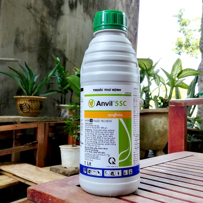 Thuốc trừ bệnh cho cây trồng Anvil 5SC - Chai 1 lít