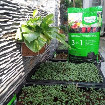 Đất trồng rau Orgamix 3 in 1 trồng rau, hoa và cây kiểng - Túi 1.5kg