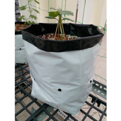 Túi nylon trồng cây đục lỗ 1kg - 20x40cm
