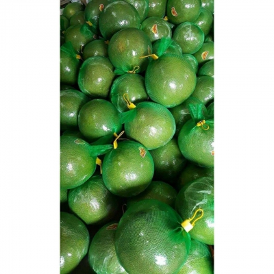 Túi lưới đựng trái cây và hoa L200 1kg - Màu xanh