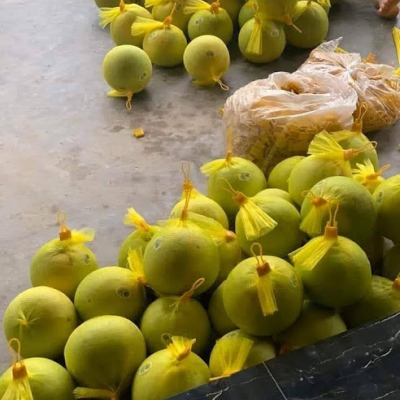 Túi lưới đựng trái cây và hoa L200 1kg - Màu vàng 32cm