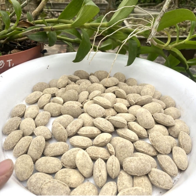 Phân quả bàng - hạt bàng tan chậm Nhật Bản - Nurseryace 12-6-6-2 - 15kg